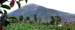 merbabu volcanoes, merbabu mount, mountain