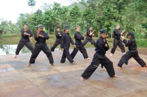 Indonesian Martial Arts - Types and Development - FactsofIndonesia.com