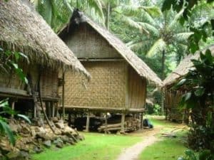 indonesia, traditional house, houses