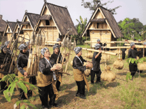 Tribe, traditional, indonesia, culture, ethnic