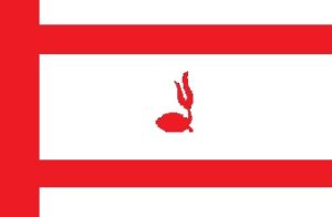 scout flag