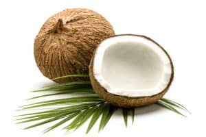 west java coconut