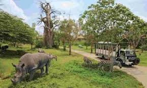 12 Facts Of Indonesian Zoo You Should Know Factsofindonesia Com