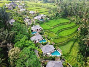 The landscape of Ubud