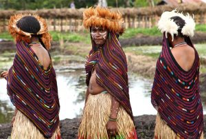 Baliem Valley Festival