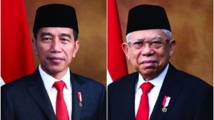 Indonesian Government Hierarchy (Indonesia's President and Vice President)