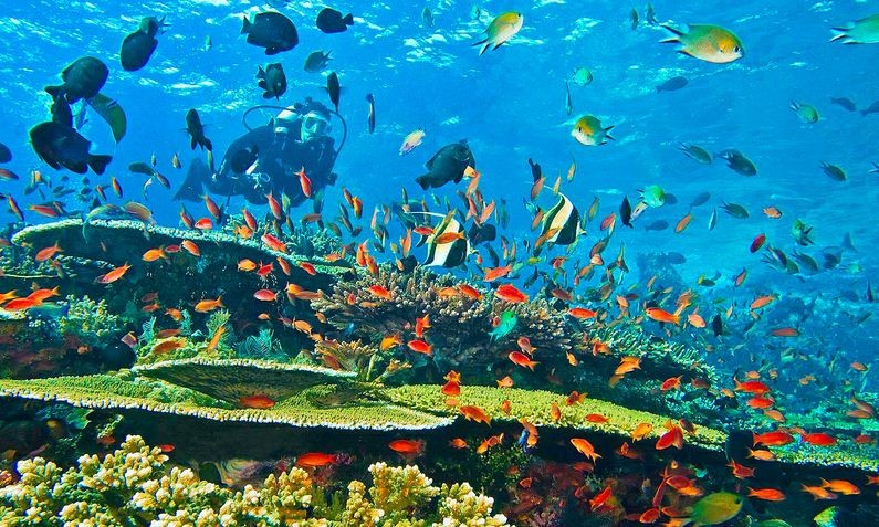 Best Snorkeling Places in Indonesia