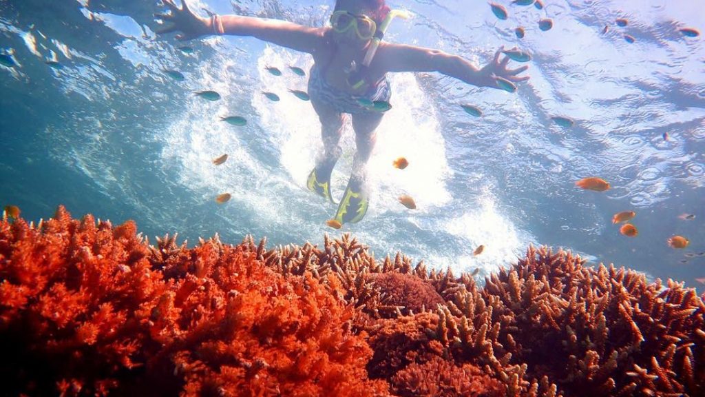 Best Snorkeling Places in Indonesia