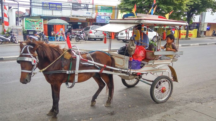 Traditional Public Transport in Indonesia