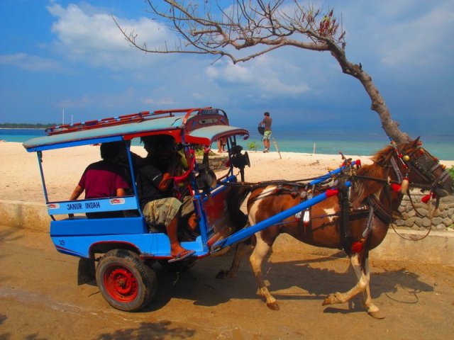 Traditional Public Transport in Indonesia