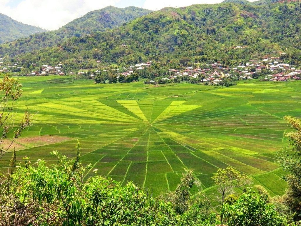 Indonesian Best Rice Terraces that Worth to Visit