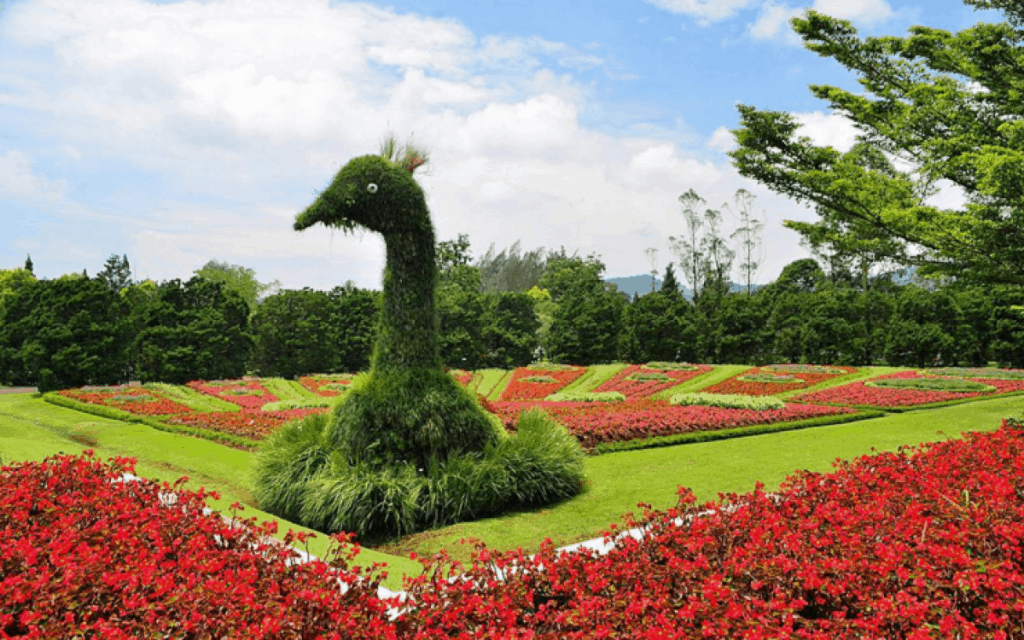  Flower Gardens in Indonesia