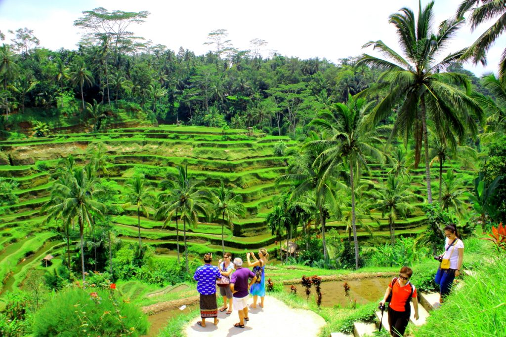 Best Time to Visit Bali along the Year
