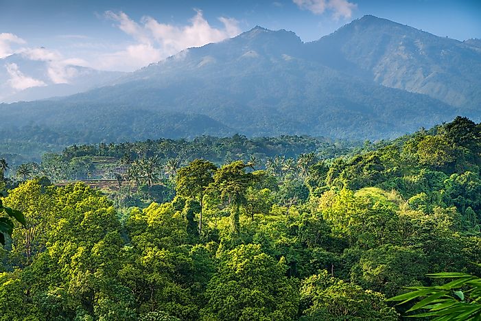 Province With Largest Forests In Indonesia