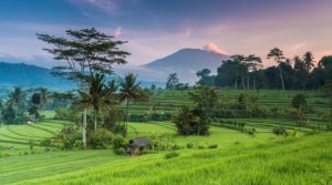 tips for vistting indoneisa for the first time