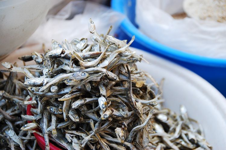Types of Salted and Dried Fish in Indonesia