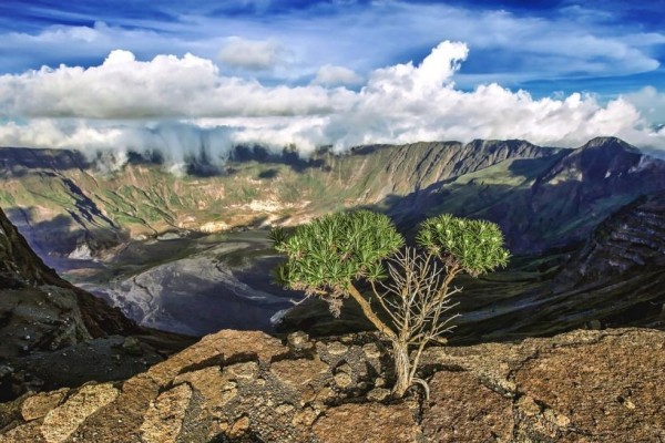 indonesian biggest natural disaster (tambora eruption)