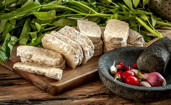 types of tempeh dishes in indonesia