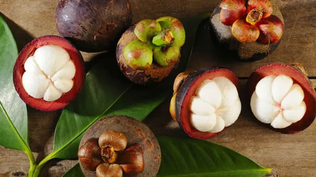 Tropical Fruits of Indonesia